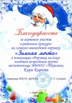 Благодарность Киреева Кира